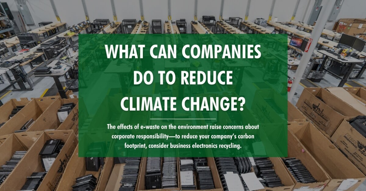 What Can Companies Do to Reduce Climate Change